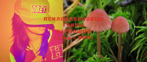соль ск Карталы