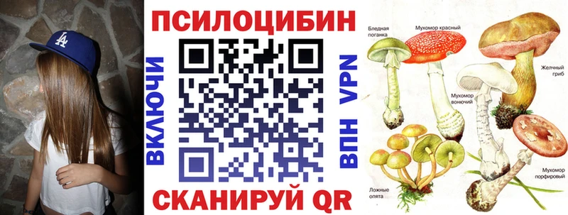 Галлюциногенные грибы мицелий  MEGA онион  Карпинск  магазин продажи  